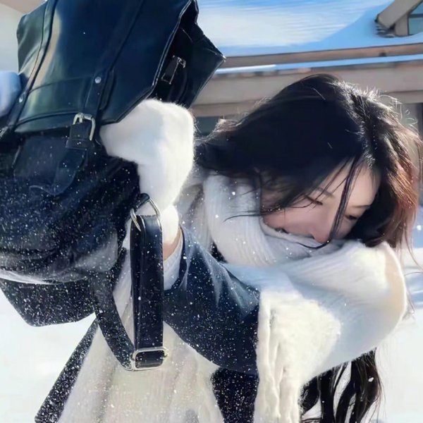 屠宰场准则